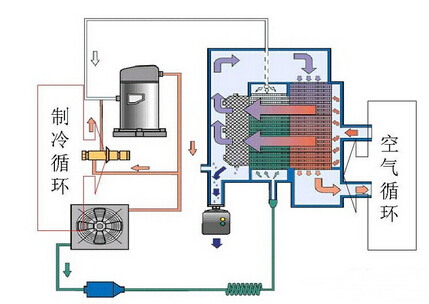冷凍干燥設備 冷凍干燥設備