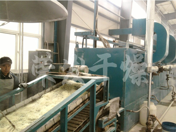 催化劑帶式干燥機工程