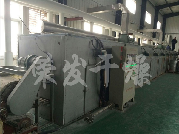 催化條劑帶式干燥生產線